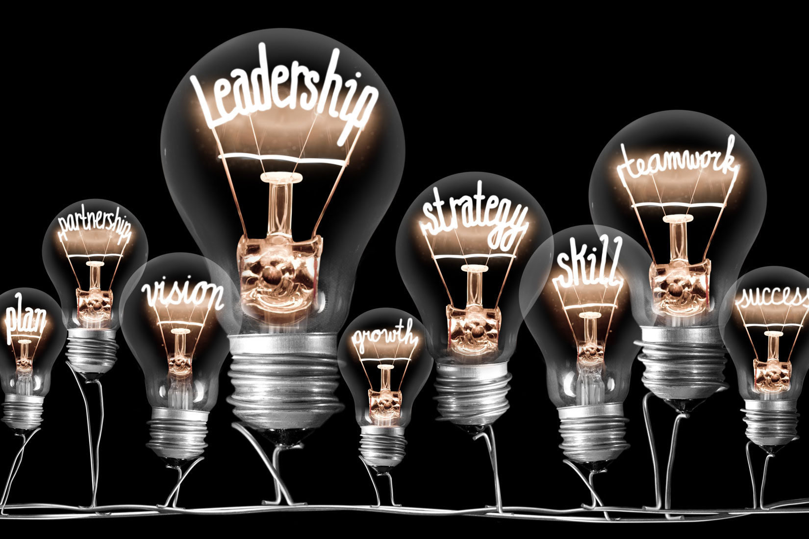 Oncology Leadership and Management Skills